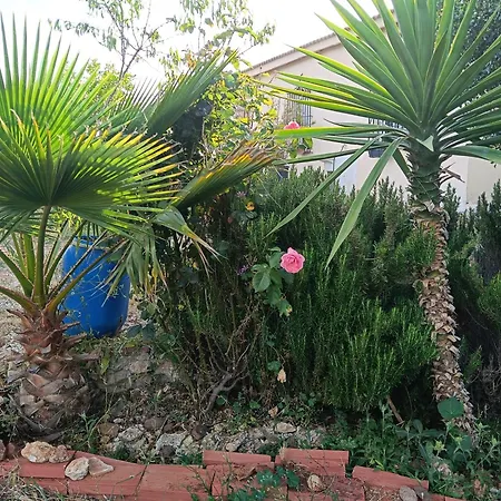 Casita Del Romero * Ronda